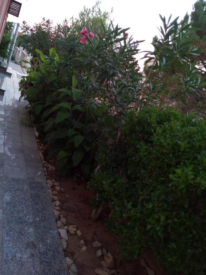 Maslina Διαμέρισμα Vir Εξωτερικό φωτογραφία